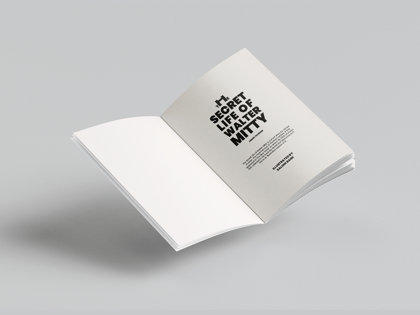 book design creativetypography design editorial design  graphic design  ILLUSTRATION  illustrative typography print publication typography  