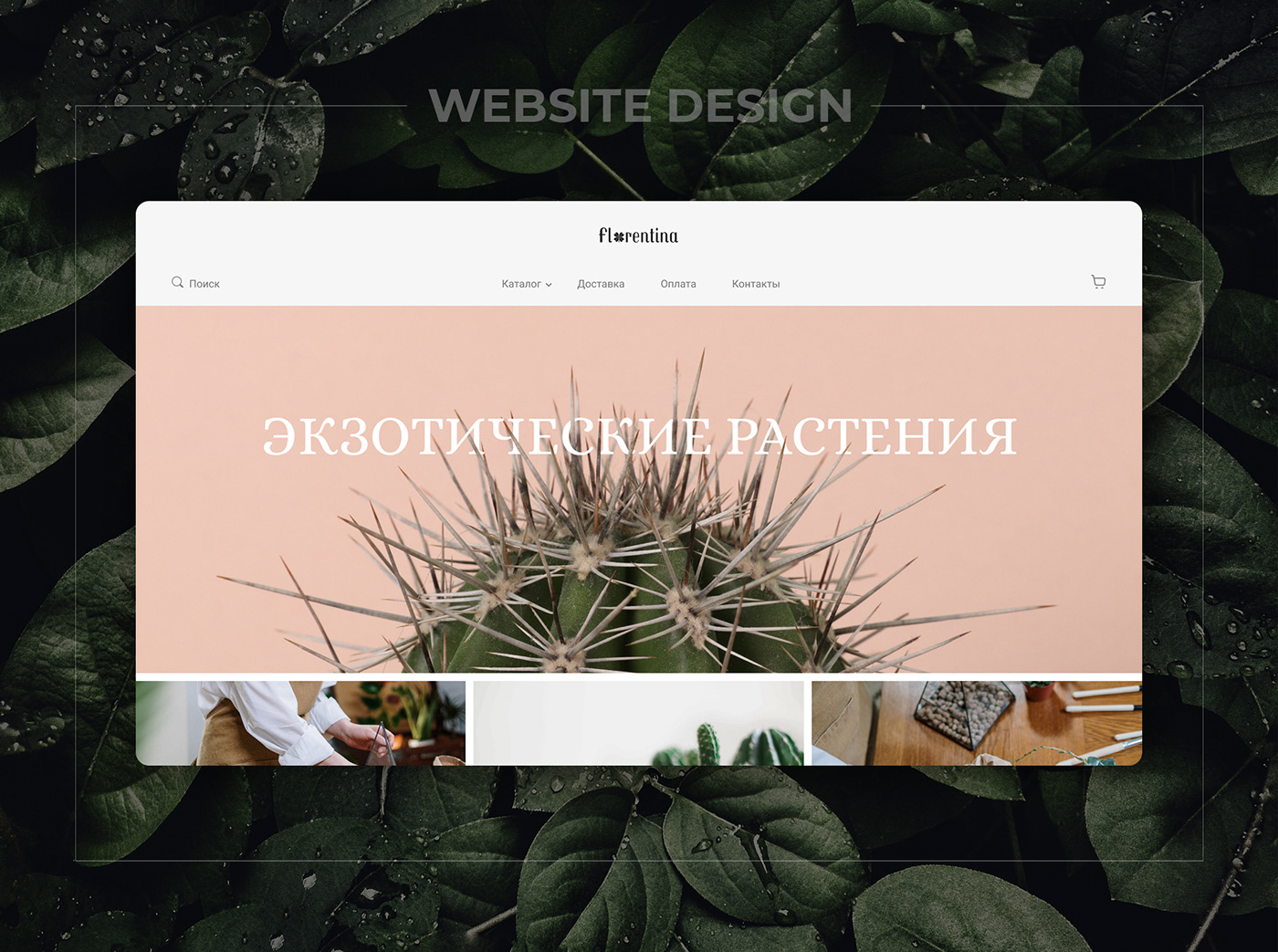 design Figma UI Web Design  Website веб-дизайн дизайн дизайн сайта лендинг сайт