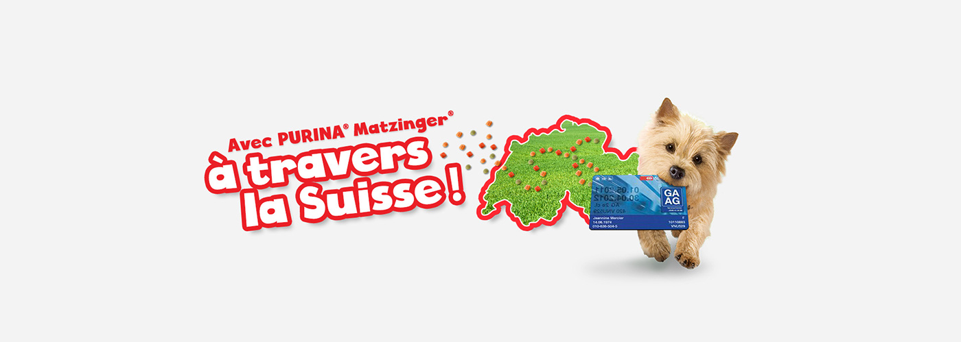 pets pet food Purina matzinger Europe Switzerland dog food contest online contest Responsive