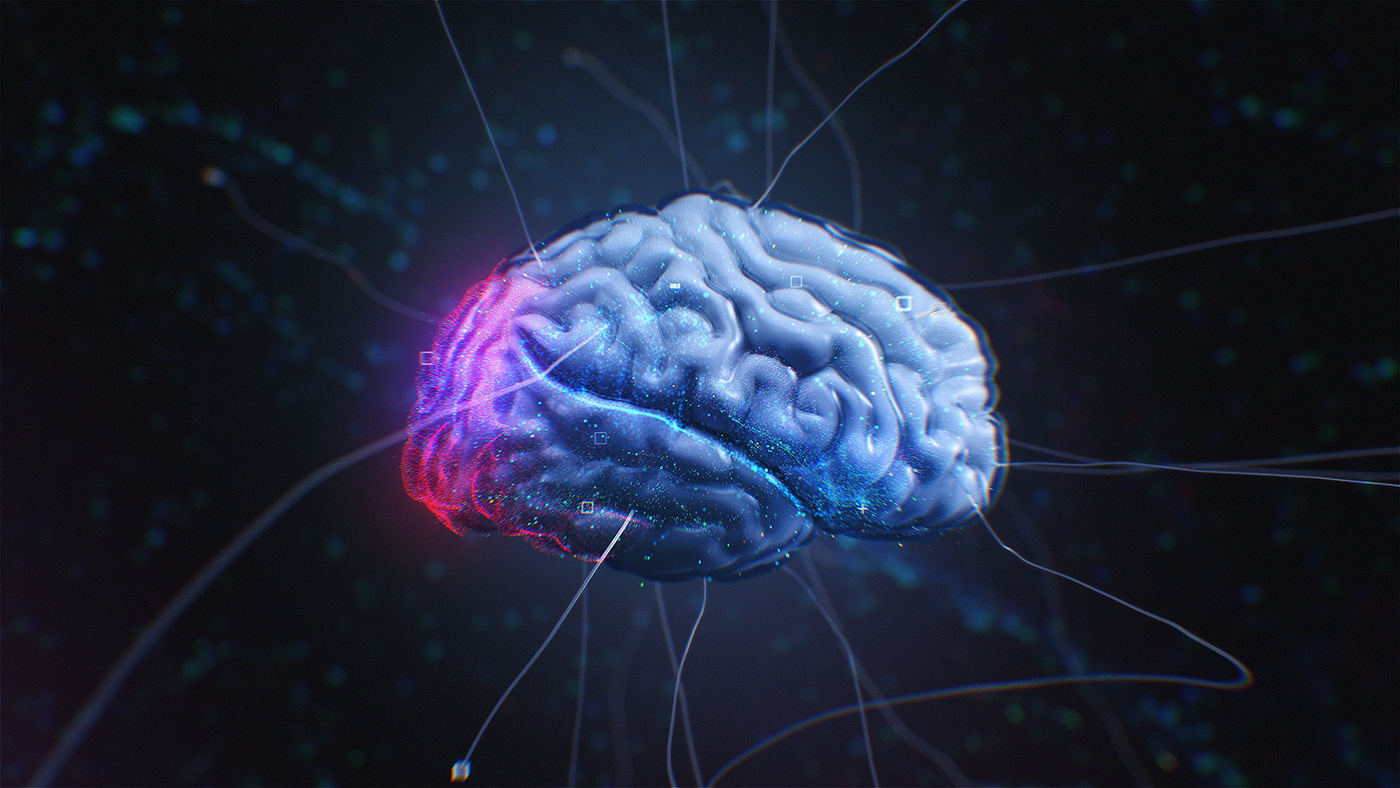 3d Brain Neural Network Animation