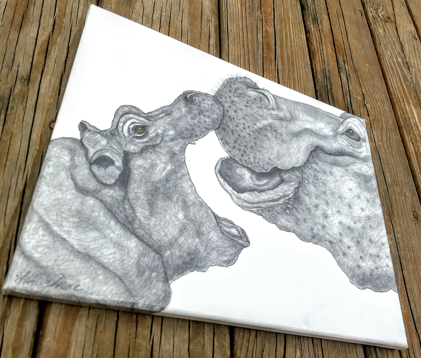 pencil Drawing  charcoal hippos Love mother baby animal sketch black and white acrylic