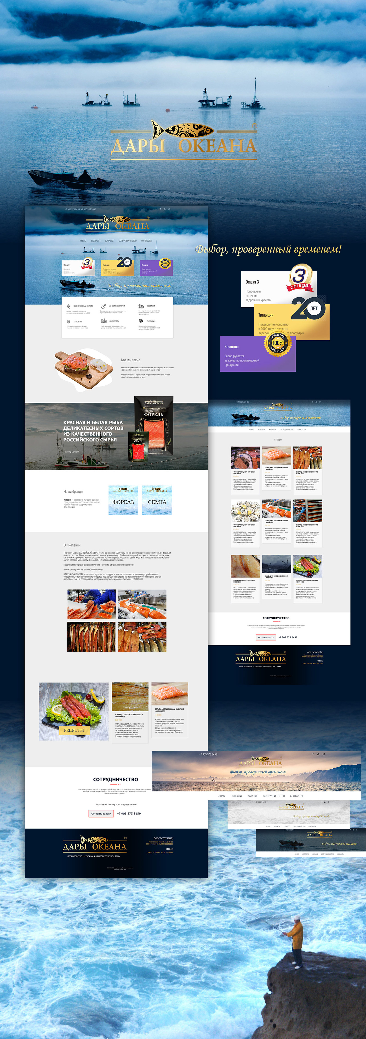 concept fish Graphic Designer Interface UI вебдизайн