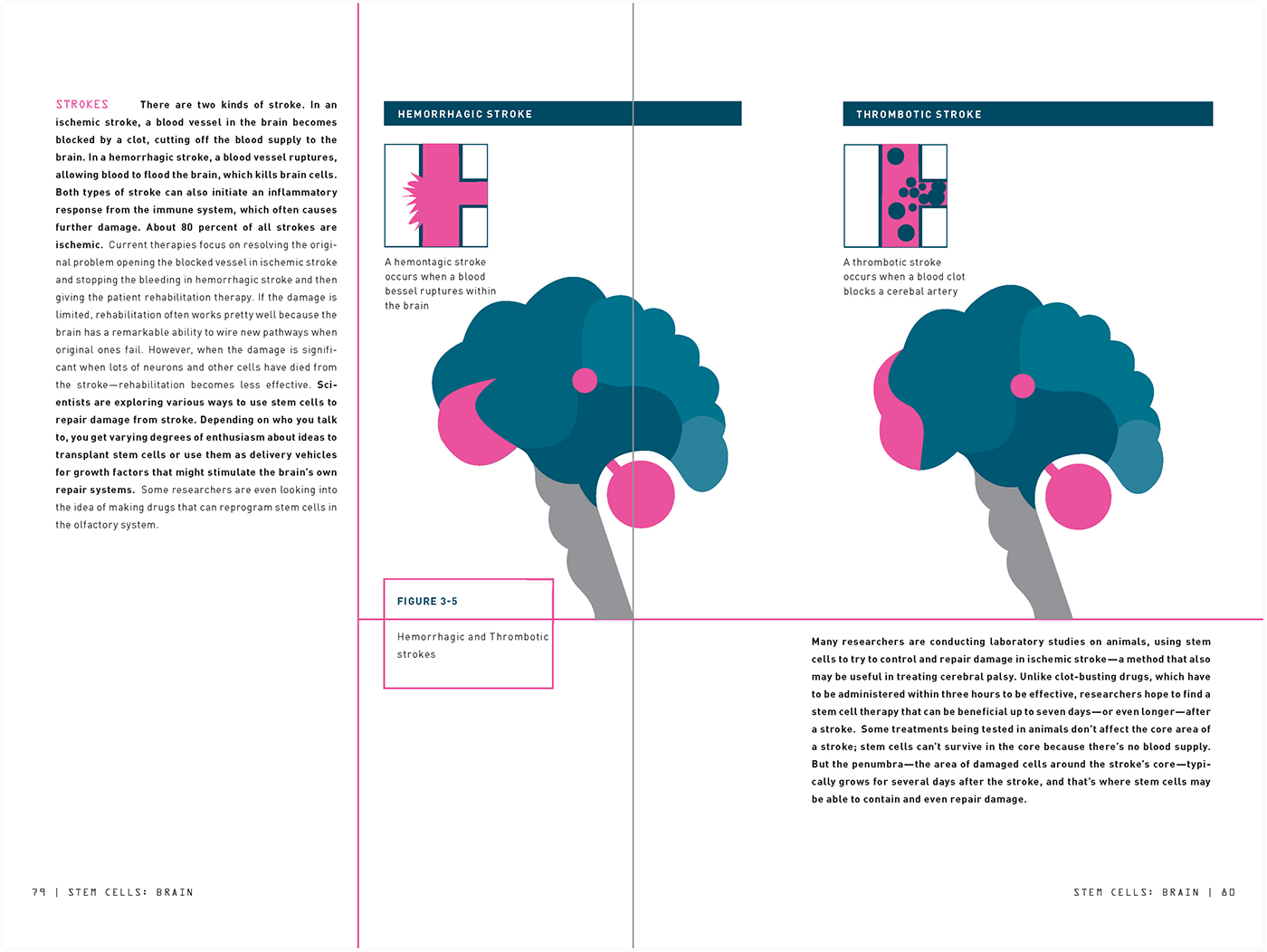Adobe Portfolio stem cells book design