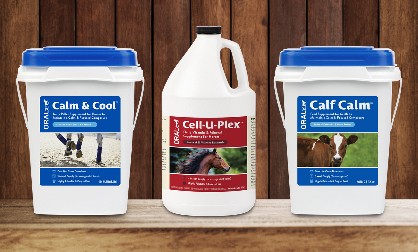 equine Horse Supplements equine products horse feed horse package design horse graphic design Equine Graphic Design cow supplements cow package design