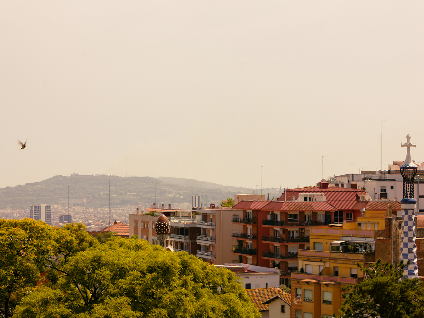Photography  barcelona spain architecture Landscape
