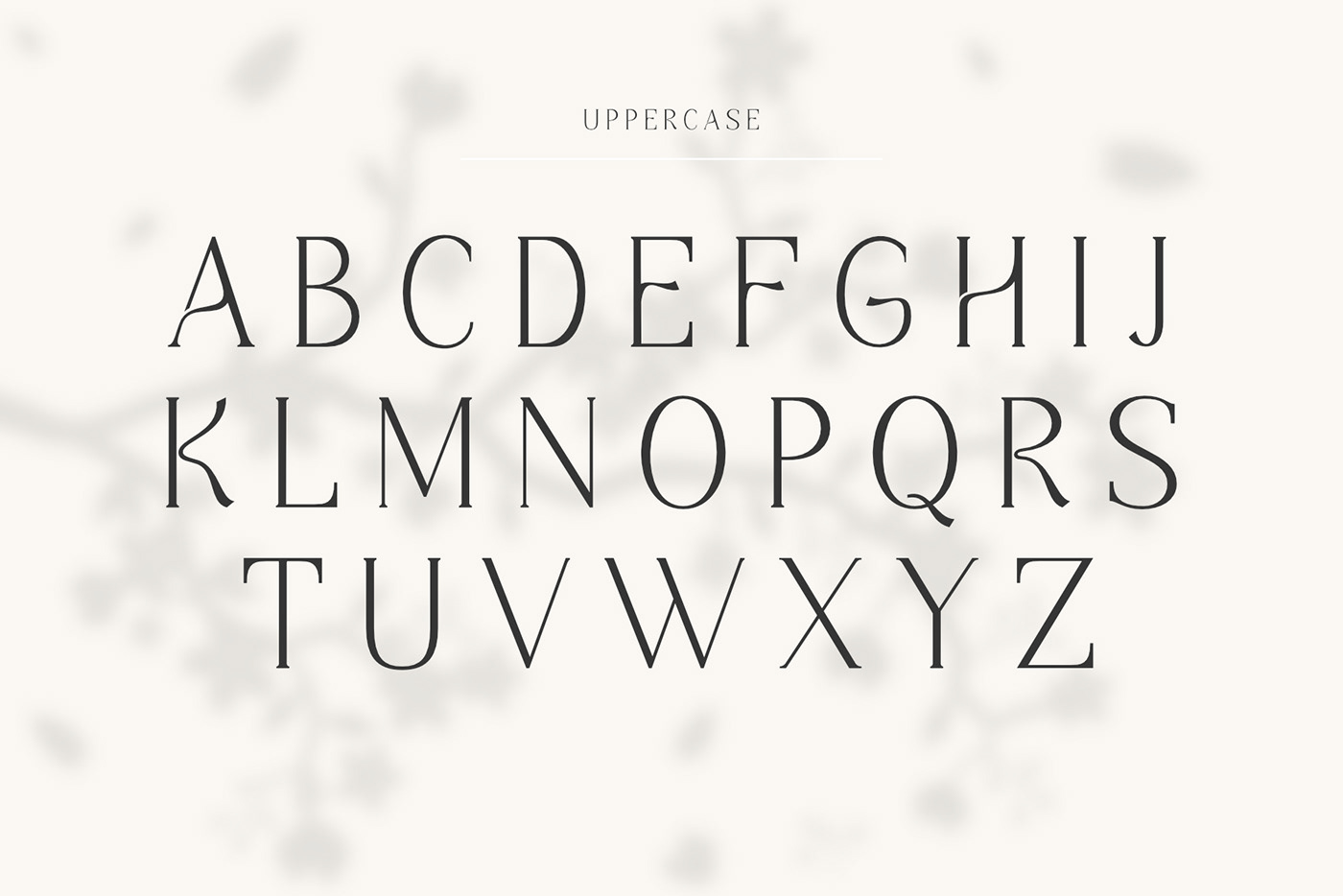 modern serif font Serif Font display font Logotype modern font elegant font graphic design  brand identity branding font stylish font