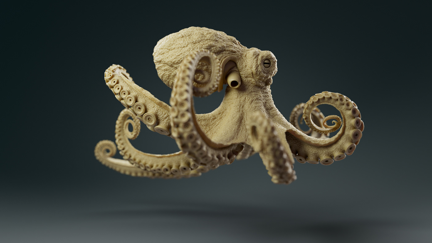 Octopus. 