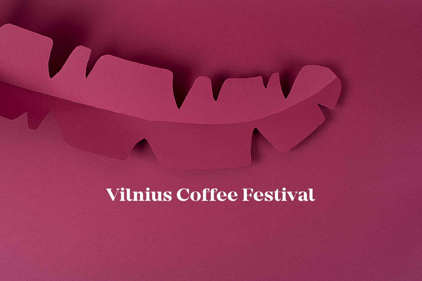 branding  Coffee Logotype ILLUSTRATION  digital festival jungle colors identity vector