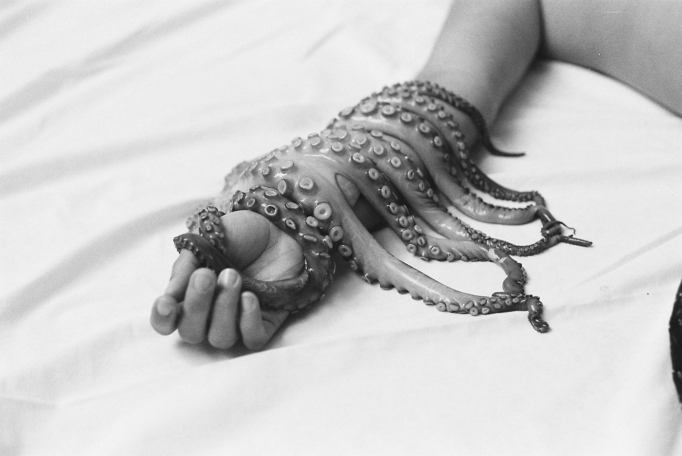 Film   analog photography film photography octopus Frescos black and white