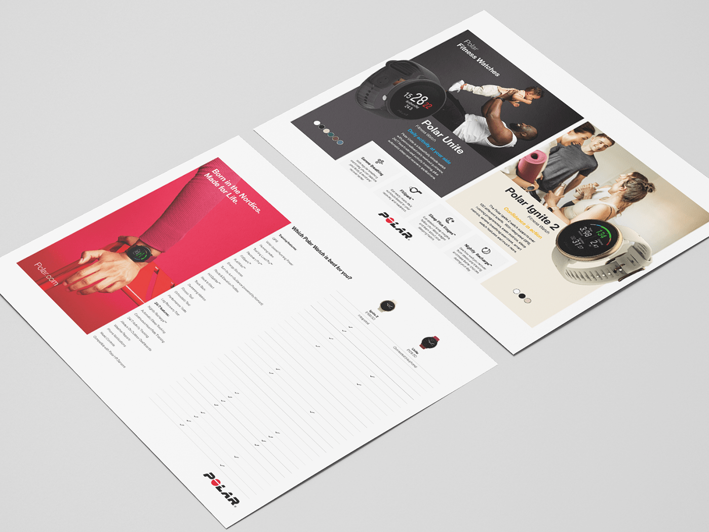 branding  design fitness graphics InDesign infographic Layout marketing   print sport