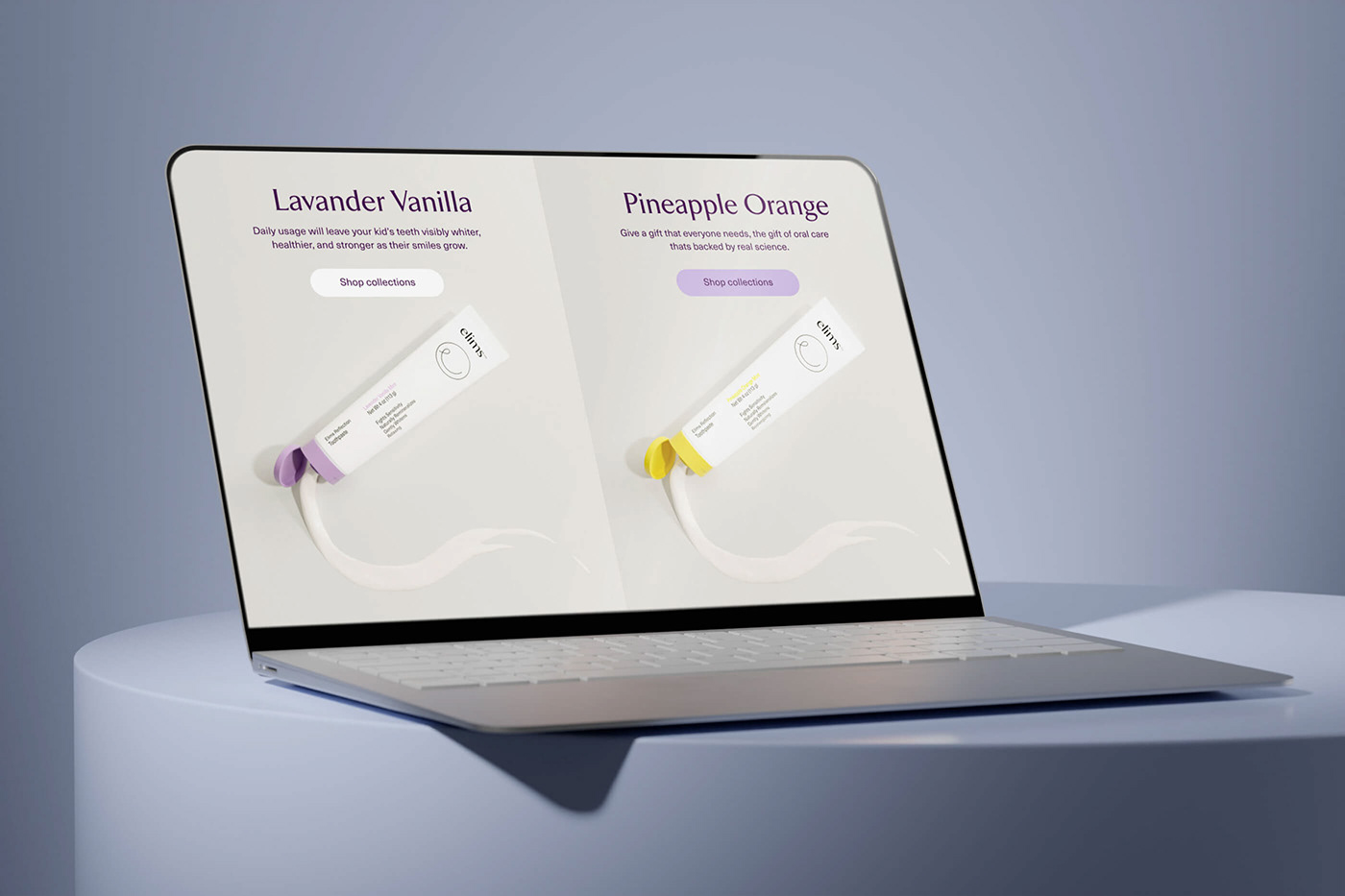 Brand Design design UI/UX visual identity Web Design