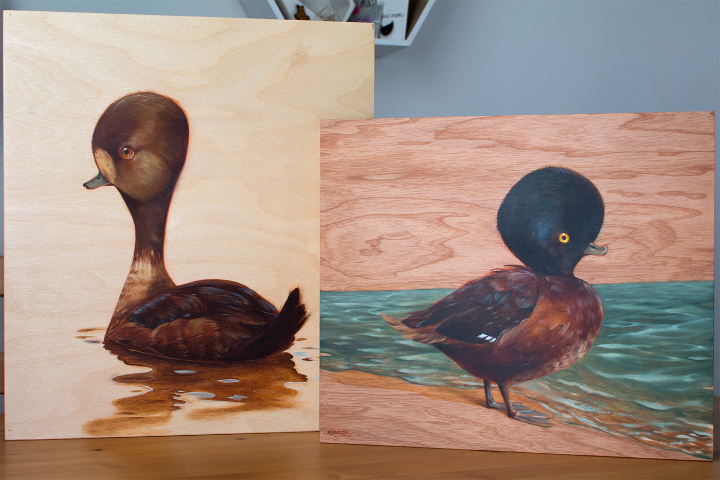 New Zealand wildlife ducks ducklings cute bizarre Paintings silly fluffy birds