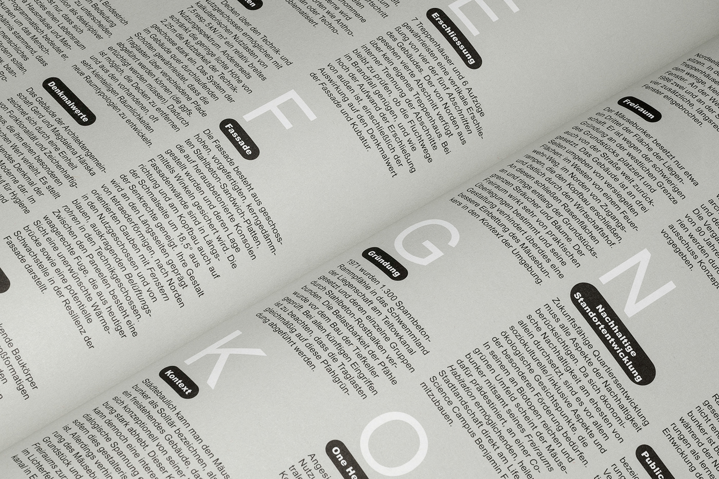 editorial editorial design  typography   Layout design architecture