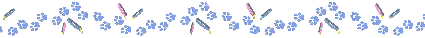 cartoon children's book children illustration pets ILLUSTRATION  Character design 