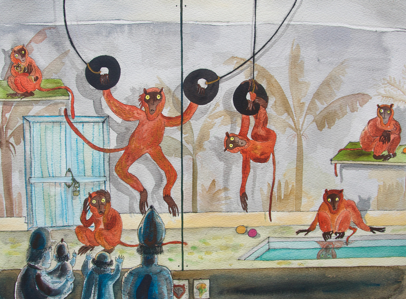 artwork book children's book colorful different ILLUSTRATION  mandrill monkeys watercolor zoo