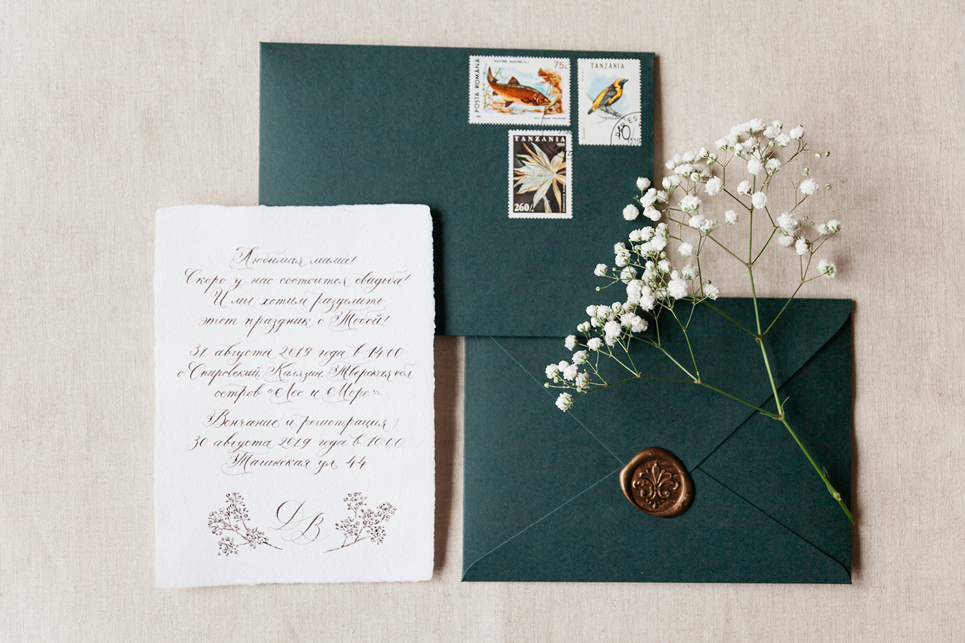 boho Calligraphy   copperplate elegant forest gypsophila ILLUSTRATION  wedding cards wedding invitation wedding stationery