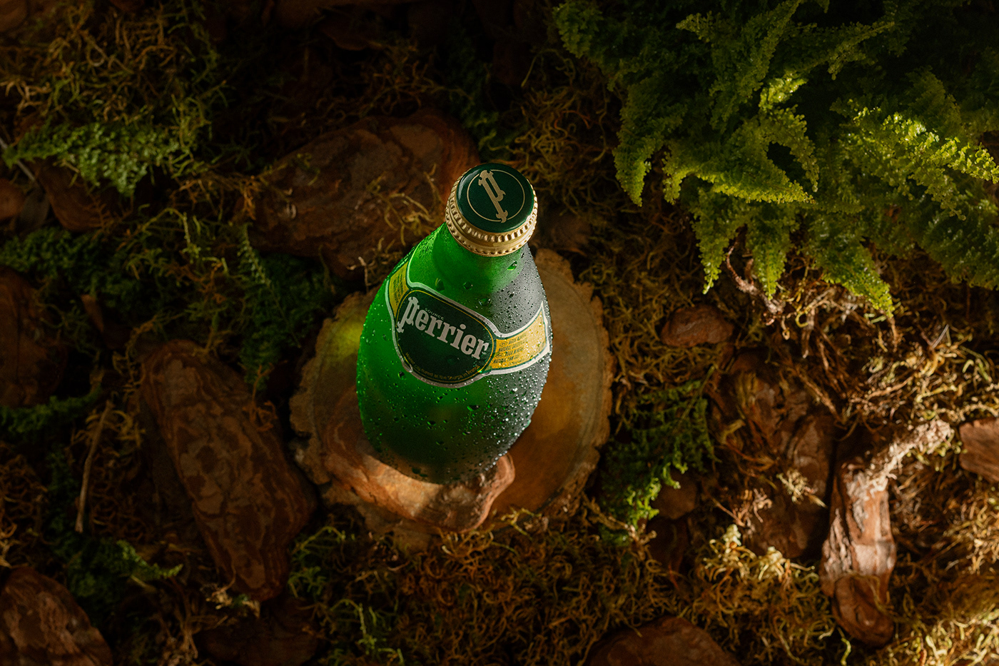 beverage bottle drink forest light Nature perrier Photography  product still life
