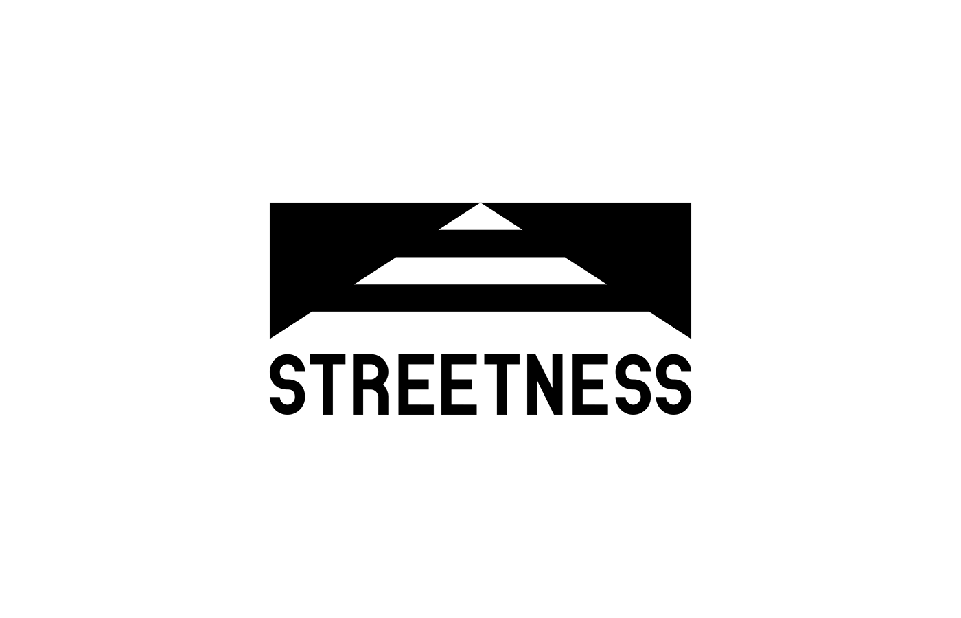 logo Logotype branding  streetwear Street shop streetness sign clothes katowice