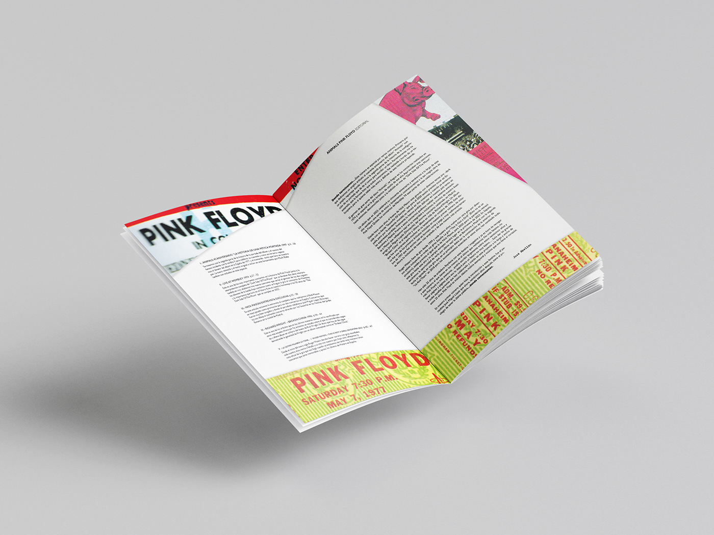desing Diseño editorial diseño gráfico editorial ilsutracion InDesign magazine Poster Design rock typography  