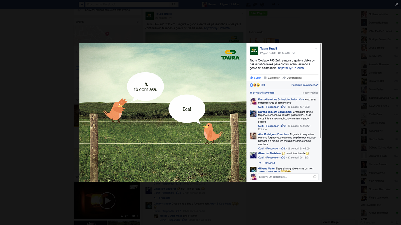 Papo pardal passarinho campo fazenda taura arame cerca post facebook social media