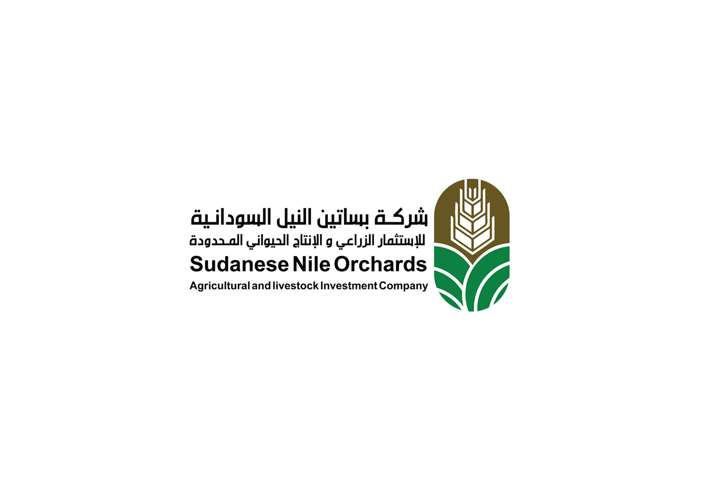 Logo Design sudan designers