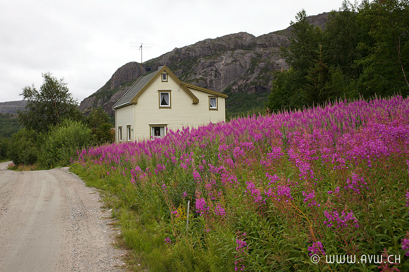 photo Travel Outdoor skandinavien schweden nordenlandscape reportage Landschaft Nature Abenteuer