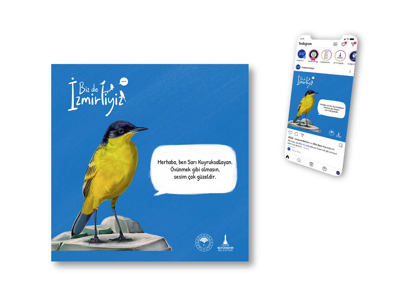 bird design Drawing  grafik tasarım graphic design  illustrasyon ILLUSTRATION  izmir kuş ornithology illustration