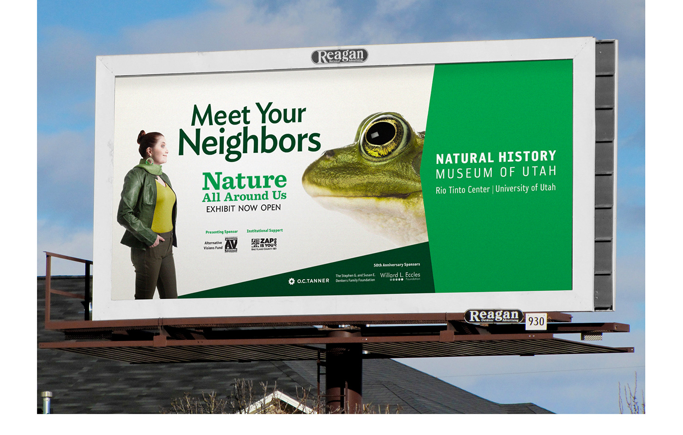 animals raccoon dragonfly falcon frog Outdoor print environmental campaign