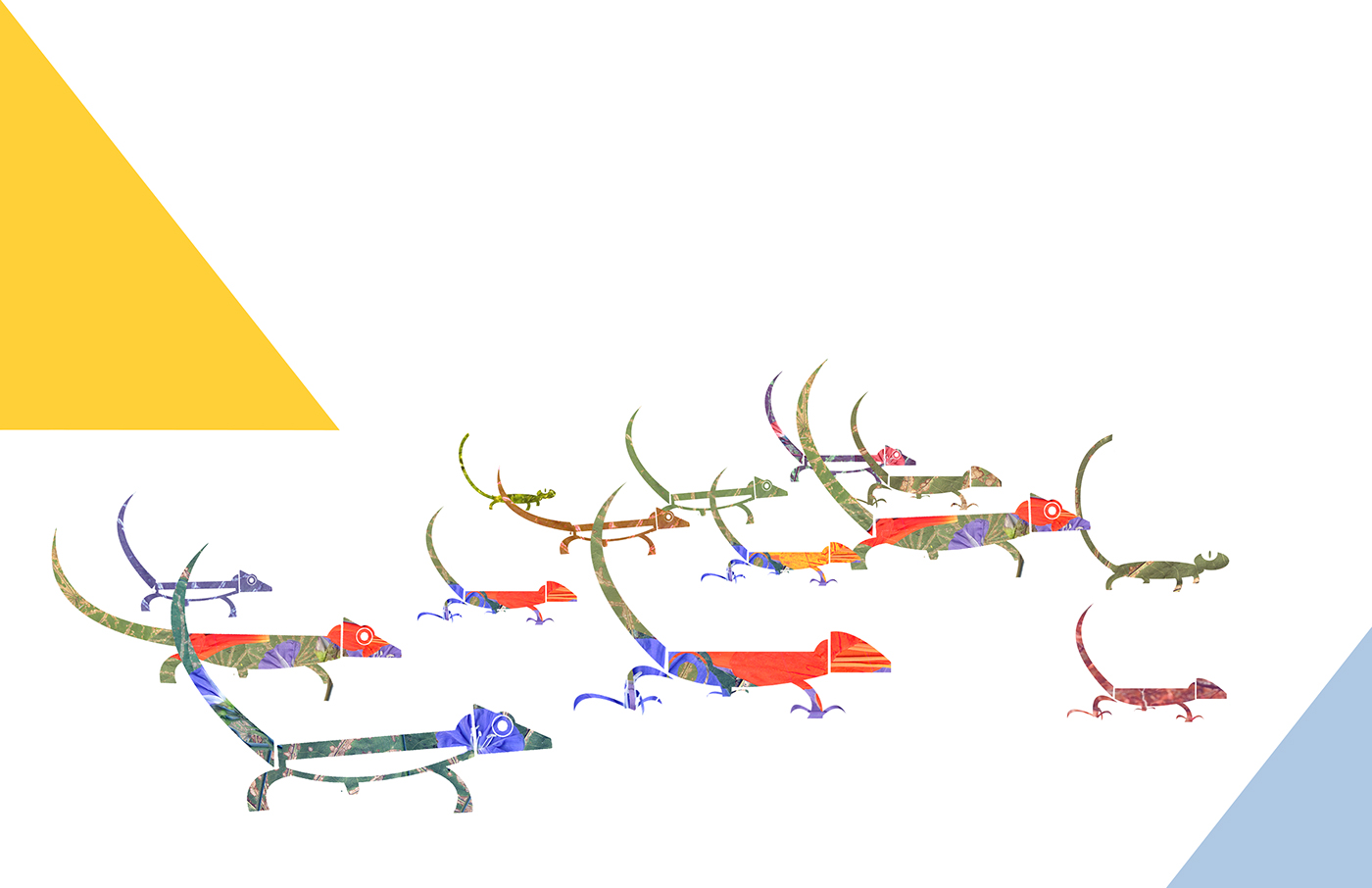 graphic design  lizards Layout narrative animal study exploration