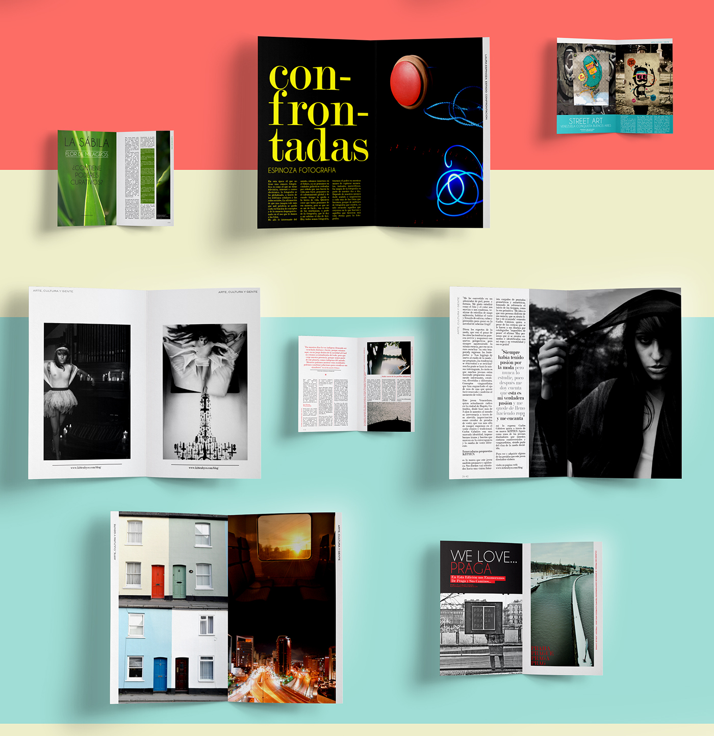 magazine mag editorial Design. InDesign Art Director