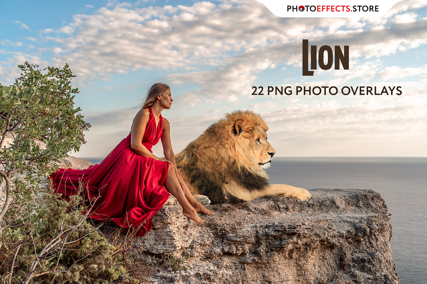 Animal Overlays Digital Overlay  lion Lion Photography photo overlays photoshop overlay png overlays Safari Overlays Summer Overlays Wedding Overlays