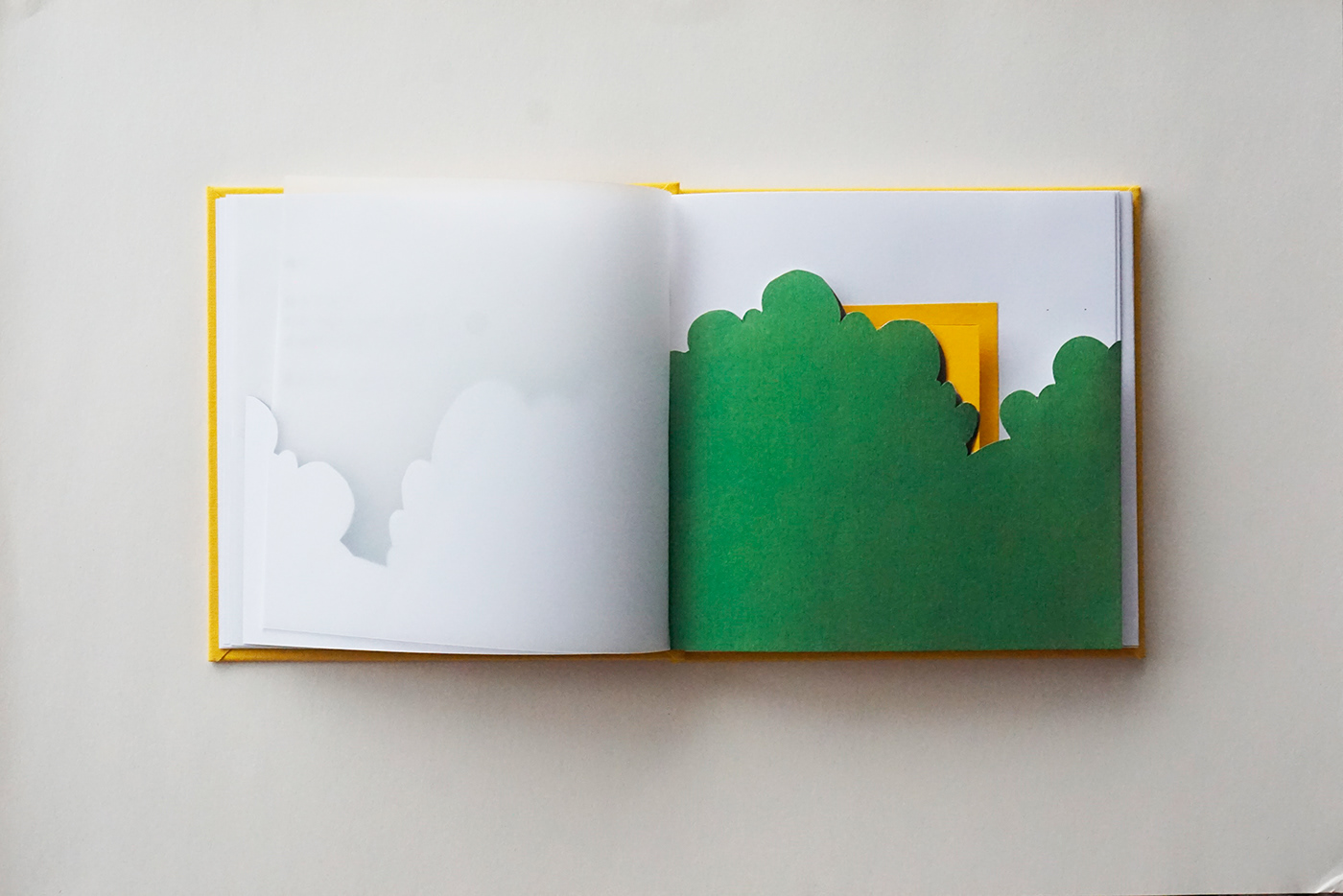book design handmade book Photography 