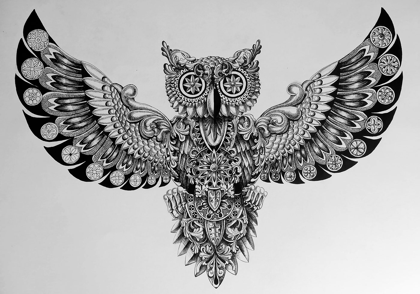 bird White Drawing  penandink zentangle ink black and white Nature black owl