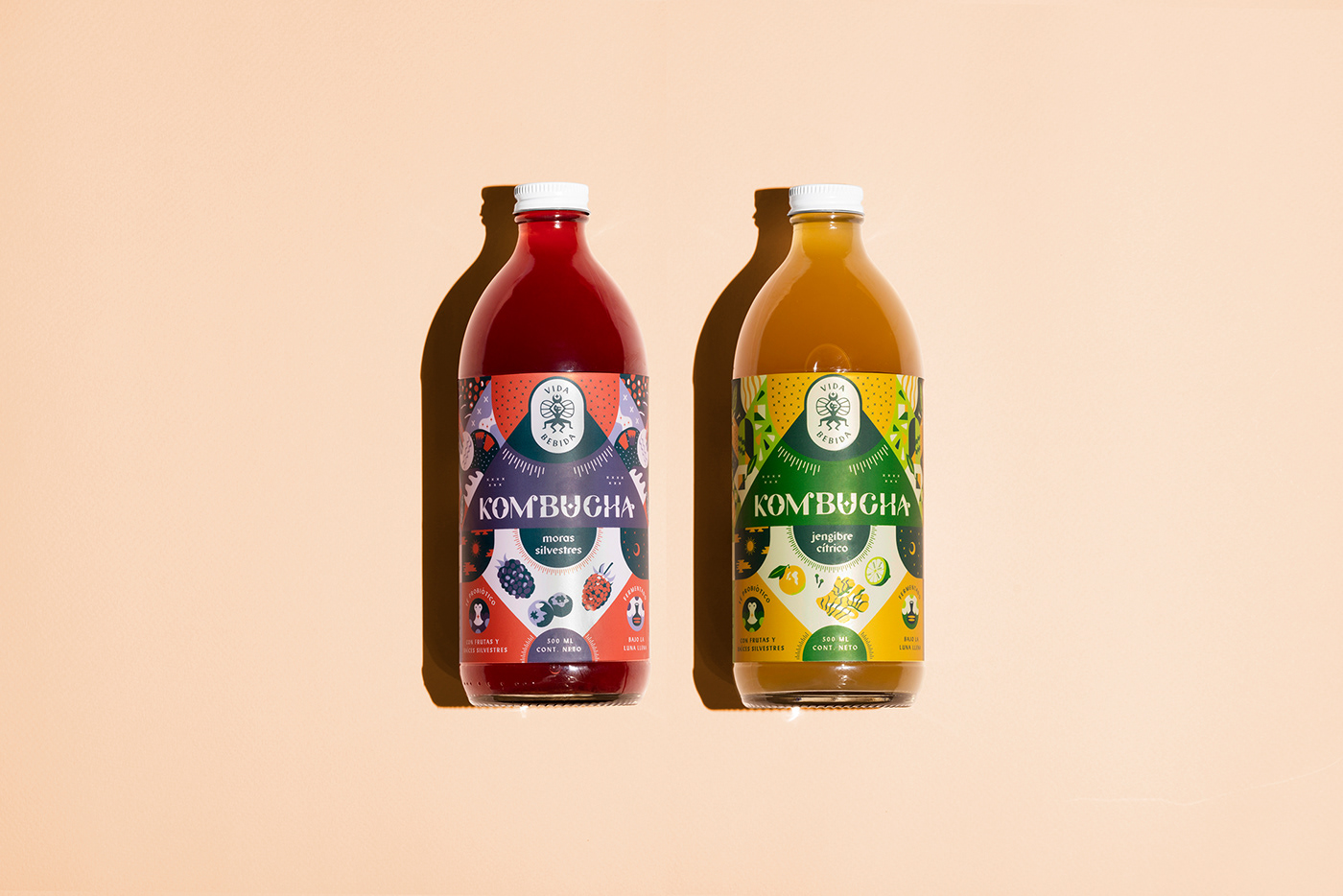 beverage kombucha branding  set design  Packaging mysterious esoteric digital illustration