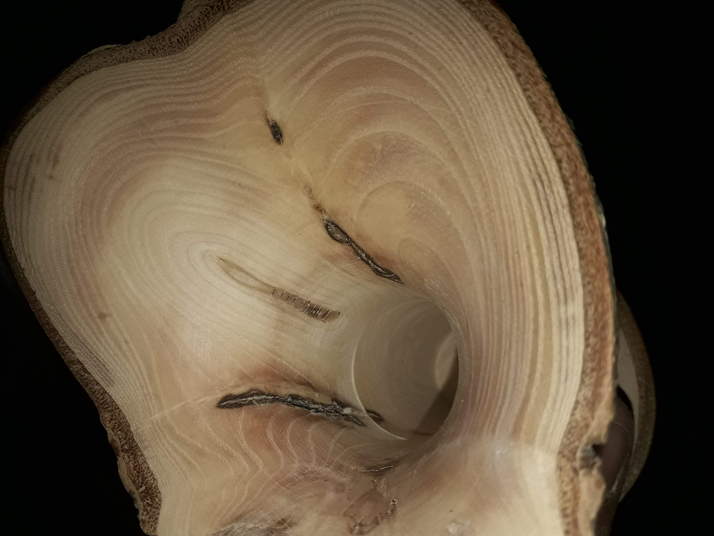 ash crafts   hollow form turning natural edge patrick sweeney design wood