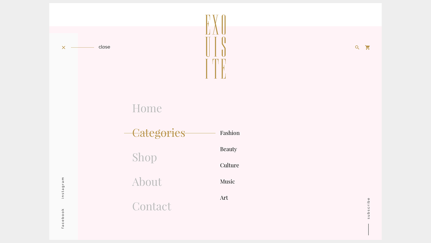 exquisite magazine beauty Fashion  Web Design  minimal interaction web interface user interface art