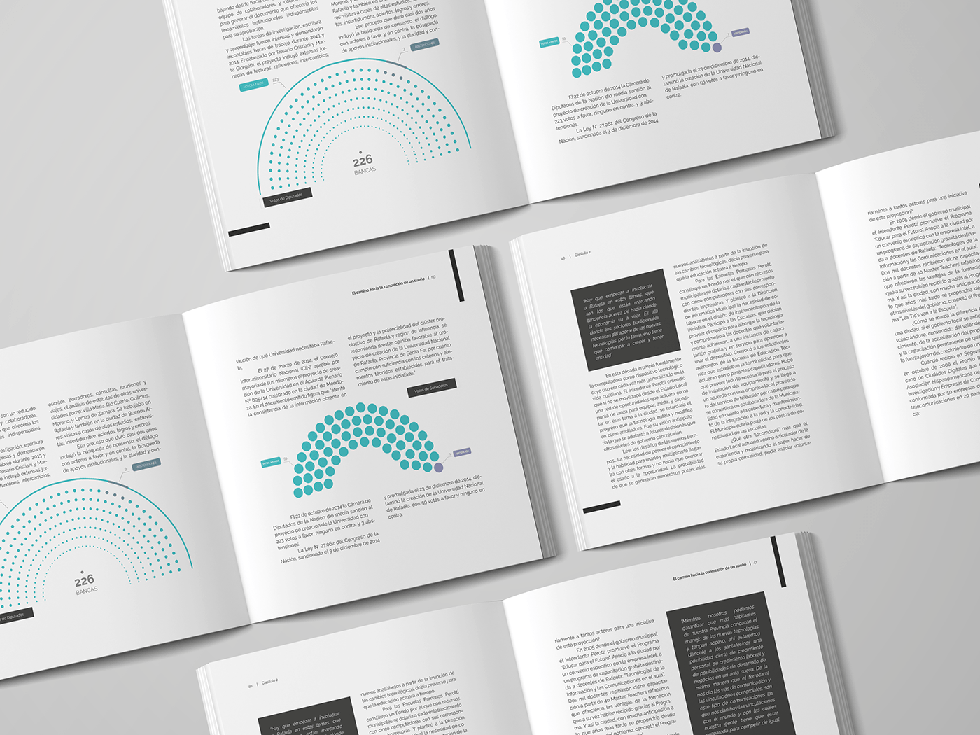 design Graphic Designer editorial design  book cover book design InDesign editorial