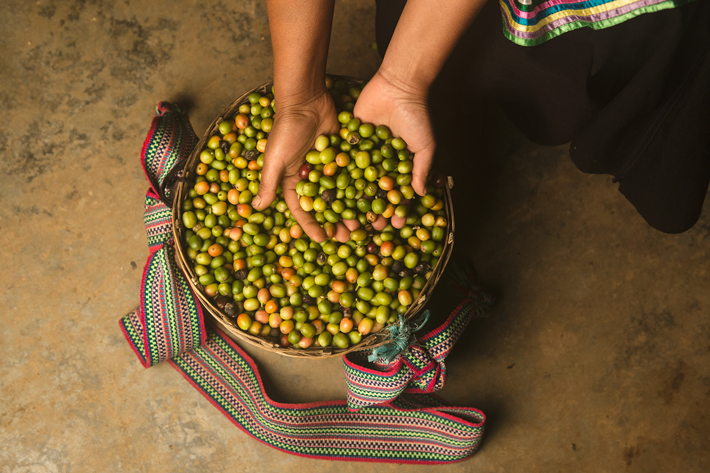 Coffee mexico profoto Canon strobist portrait reportage Documentary  discover Workers