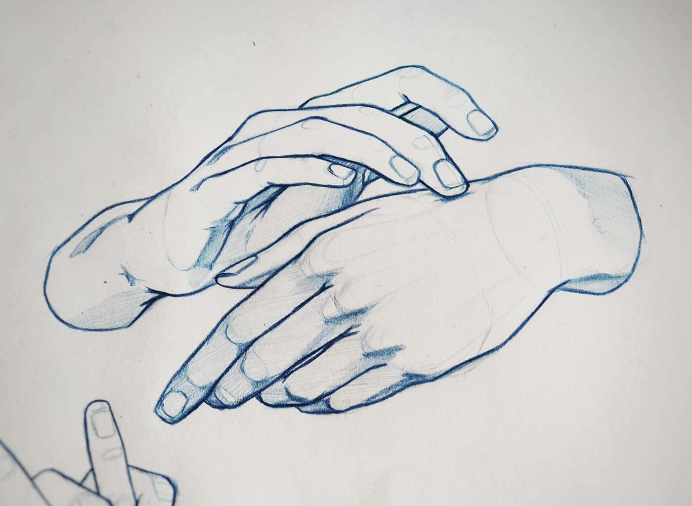 anatomy hands