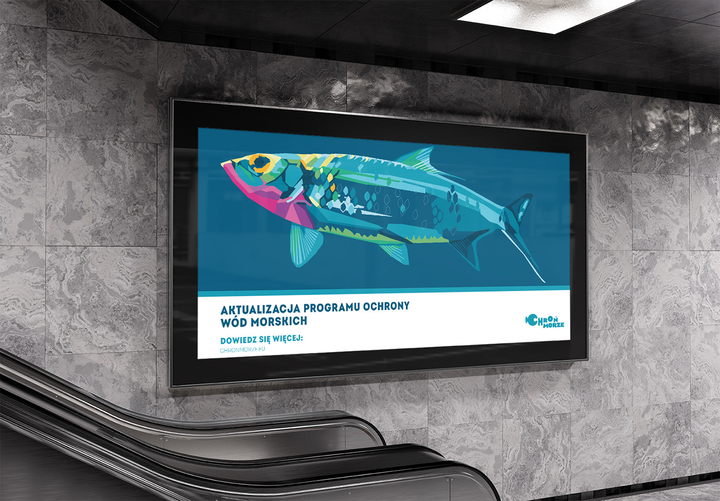 animals billboard campaign dolphin Drawing  fish ILLUSTRATION  poland poster sea