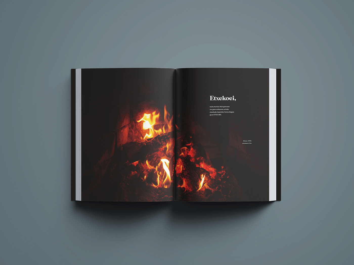 book book design design diseño diseño de libro Diseño editorial diseño gráfico graphic graphic design  libro