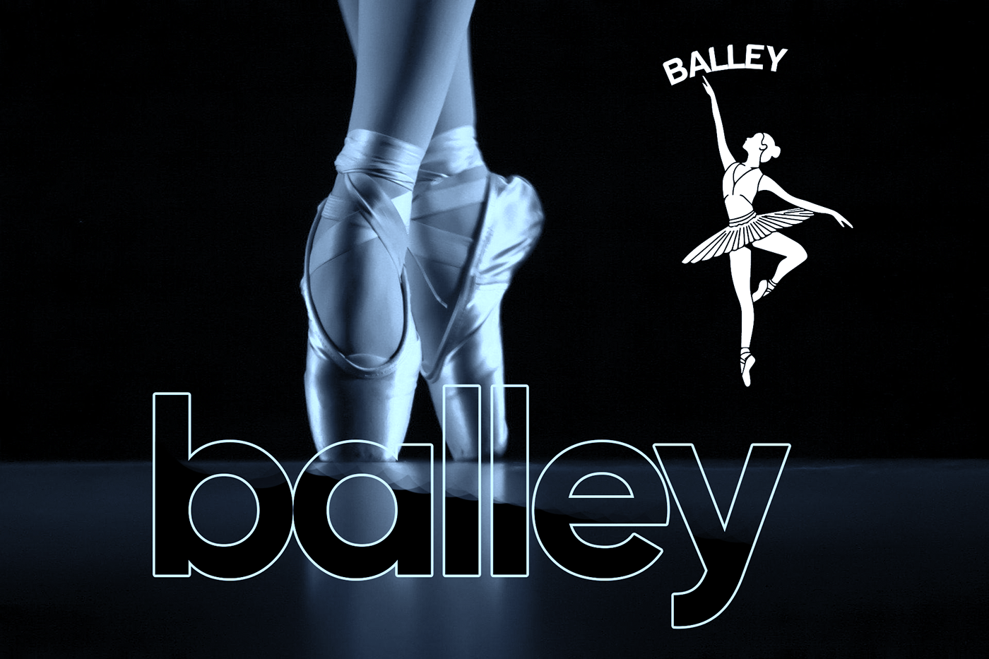 ballet brand identity DANCE   dancing Fashion  logo Logo Design logos Photography  woman