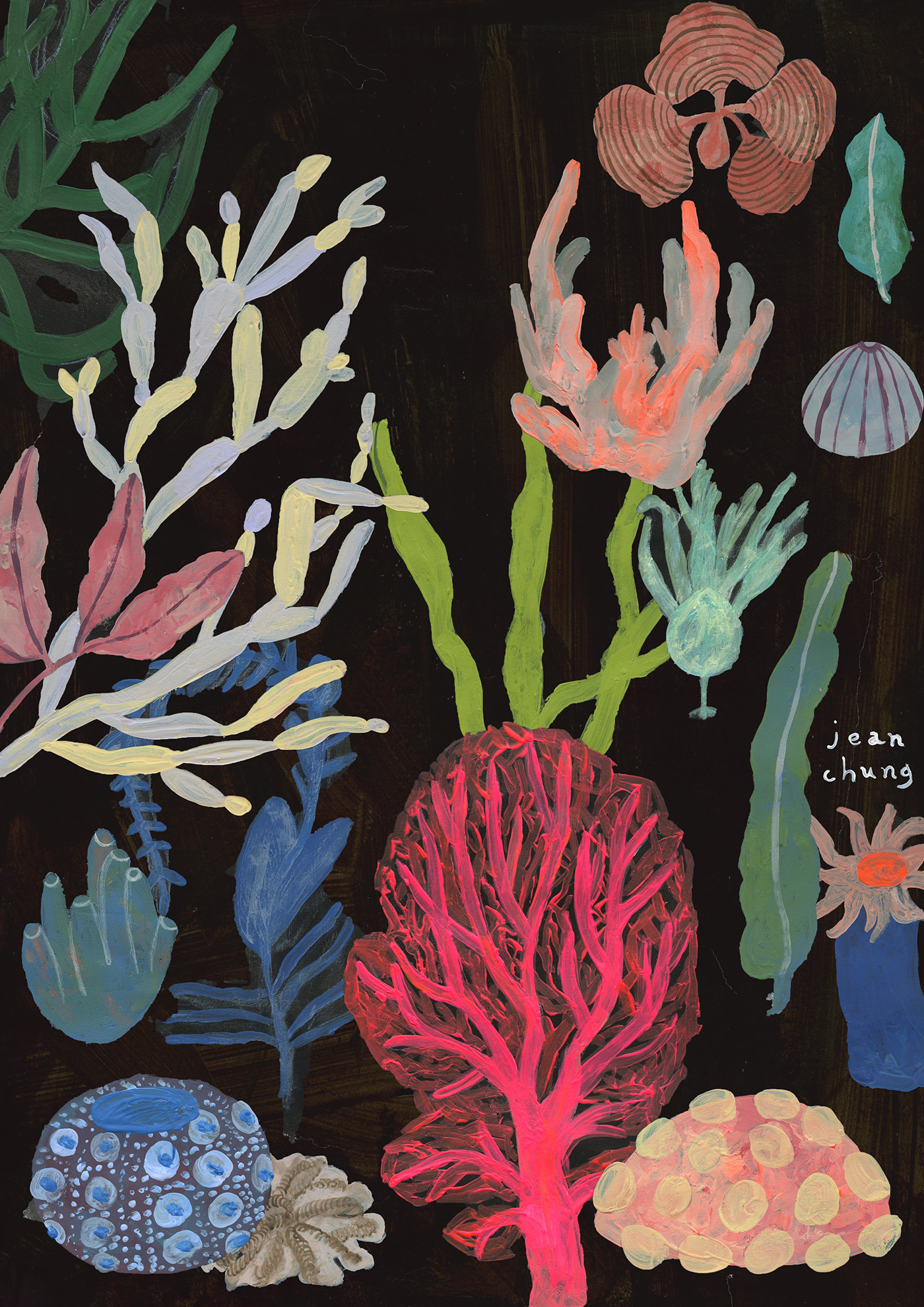 collage CoralReef ILLUSTRATION  Illustrator Nature Ocean sea seaweed