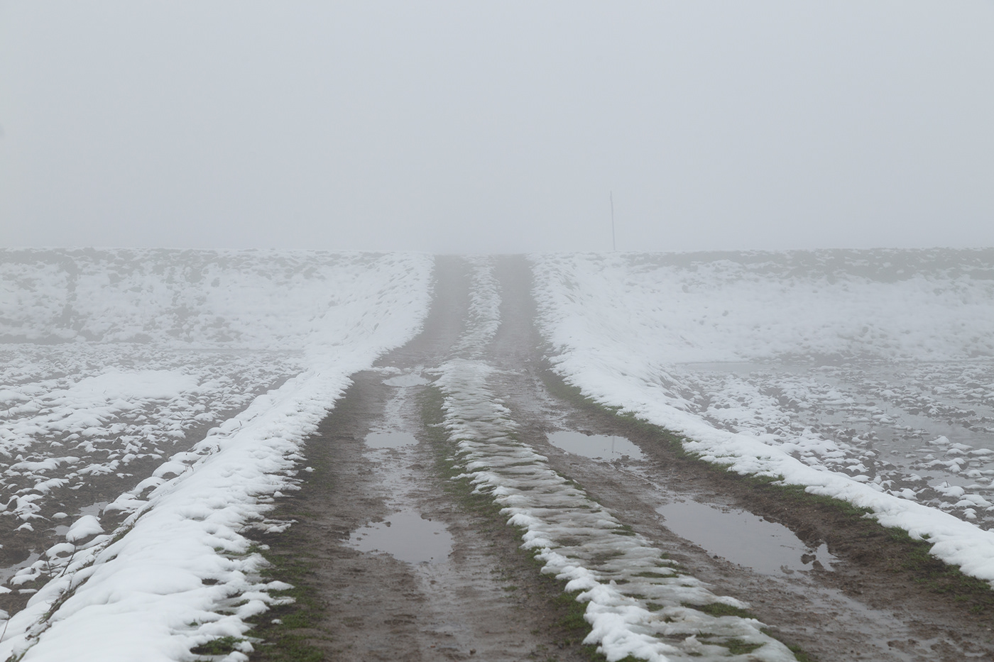 snowy country road in the mist