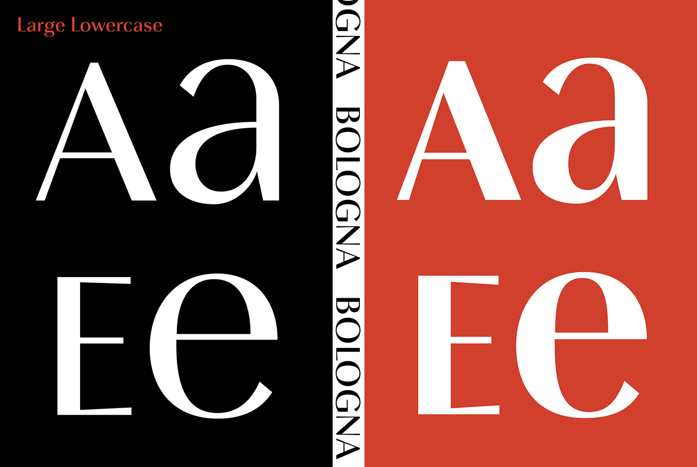 type Typeface font sans modern Classic