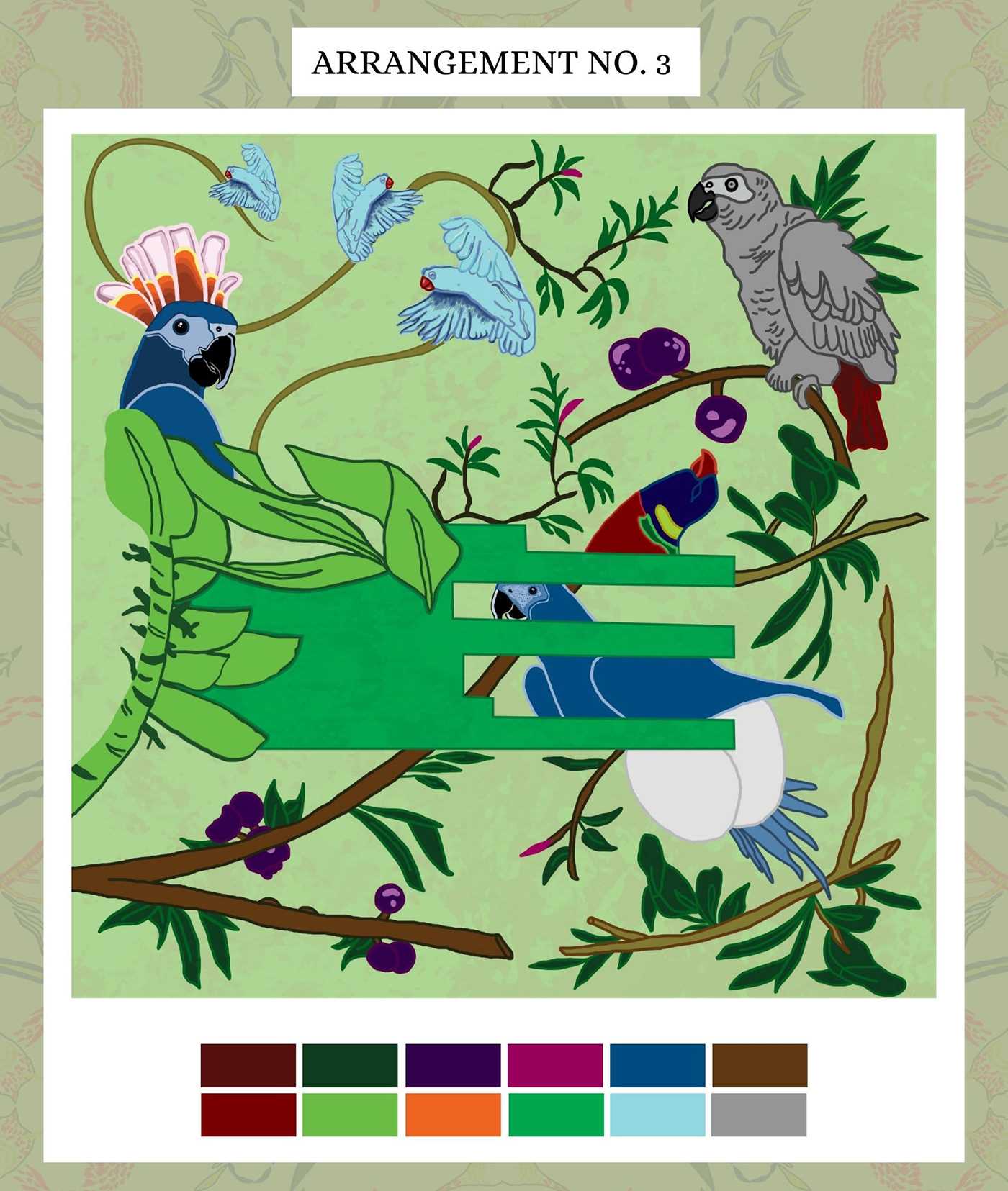 ILLUSTRATION  parrot bird design pattern arrangements feathers Nature beauty plumage