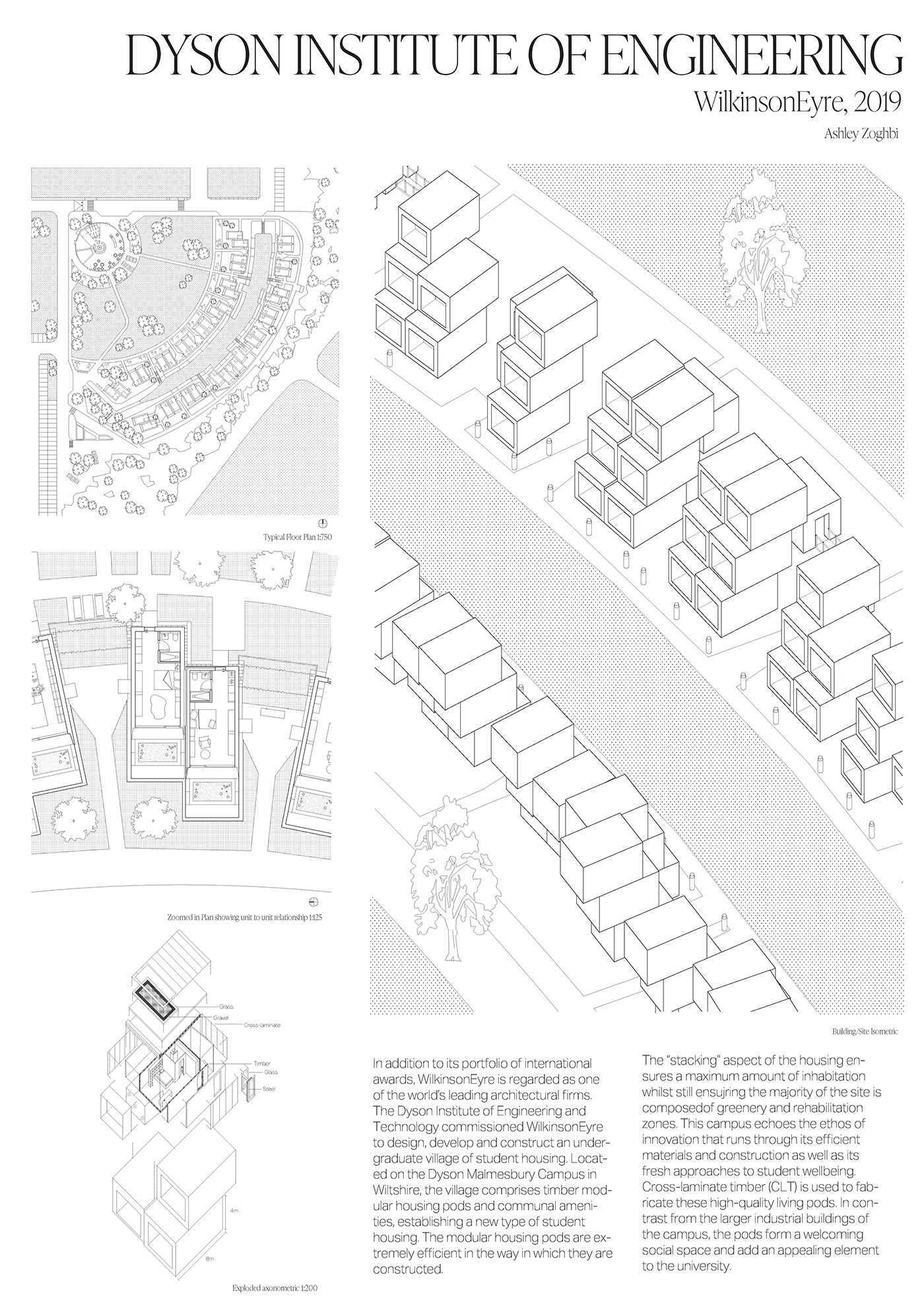 adobe illustrator architecture digital illustration Drawing  Project student housing University