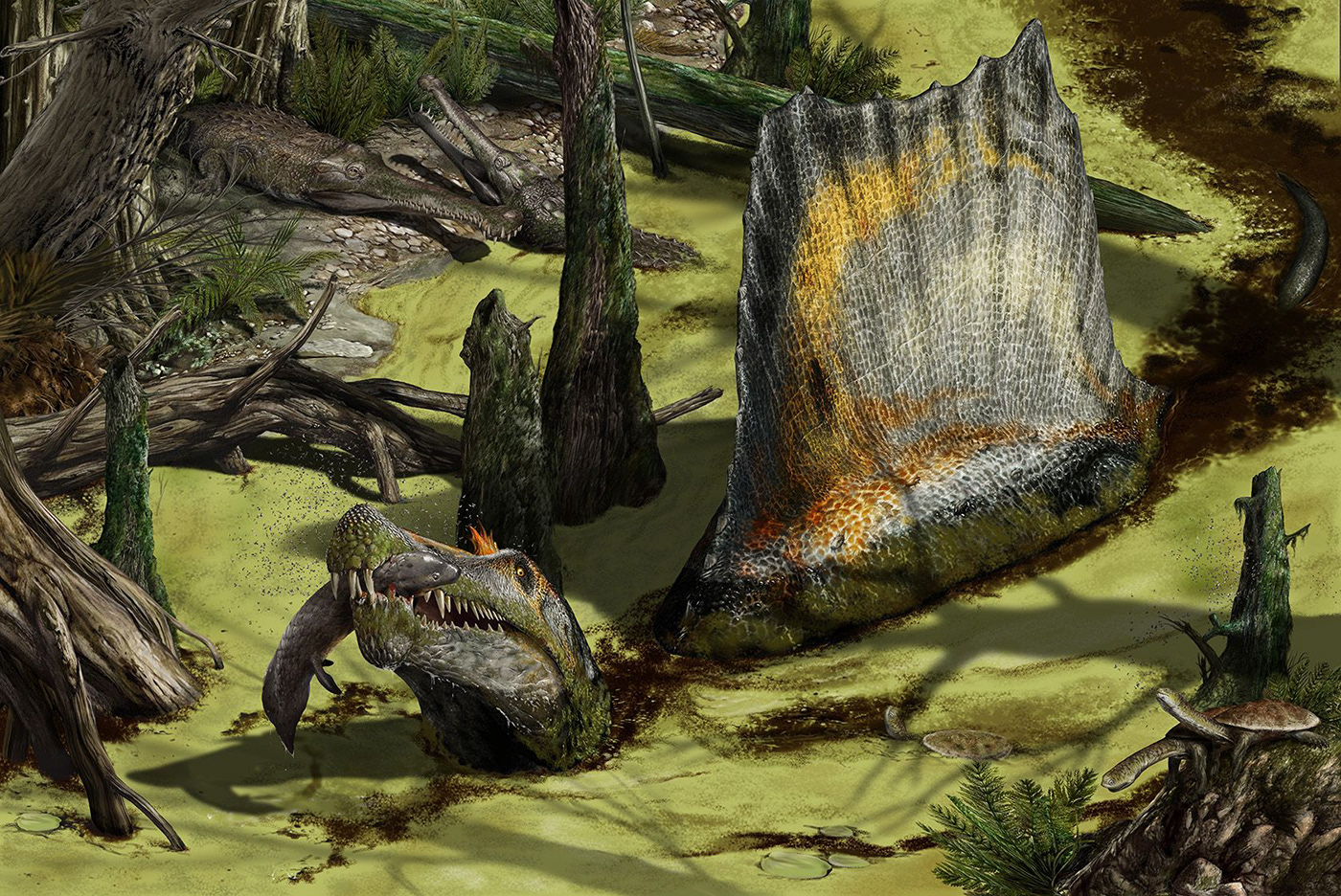 art paleo paleontology illustratons sea Dino draw