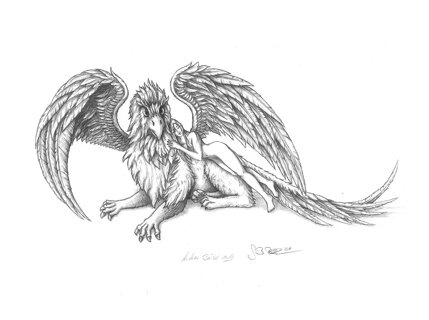 Drawing  gryphon women gryphon drawing women drawing