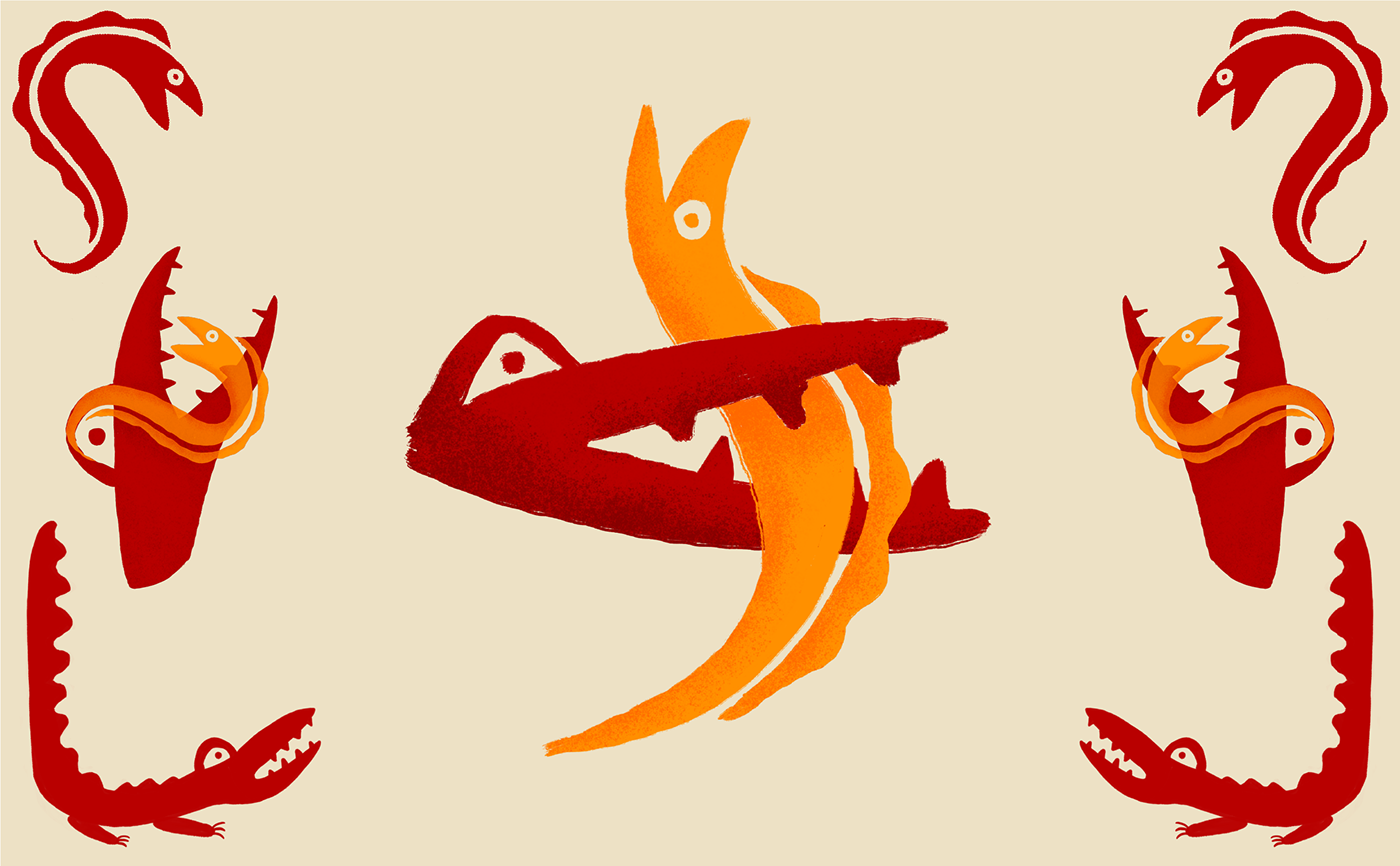 alternative logos and visuals for crocodile moray wine. illustrations of crocodiles and moray eels